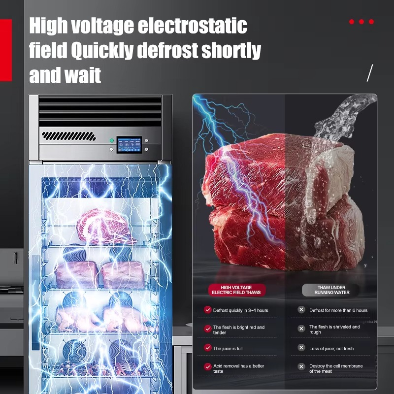 業務用厨房冷凍機器 HV静電スマート解凍庫（牛肉、羊肉、豚肉 - Commercial Kitchen Cabinet のレビューと価格